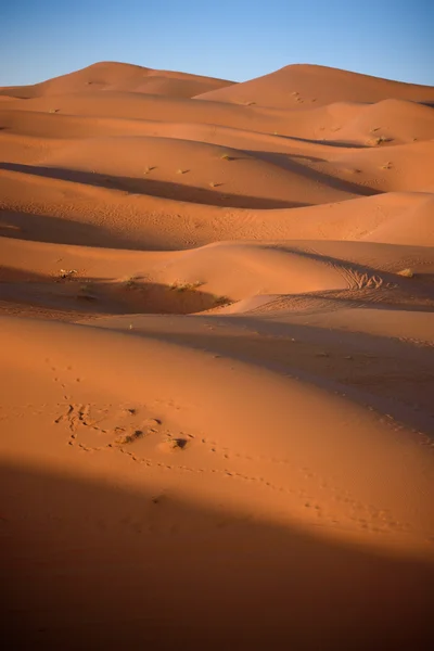 Dunes, Fas, Sahra Çölü — Stok fotoğraf