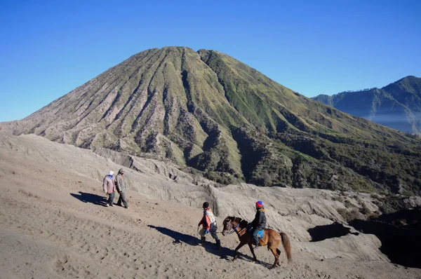 Mount Bromo, Java Indonesien - den 28 juni, 2014: Odefinierad modell poserar på en häst under Bromo massivet. — Stockfoto