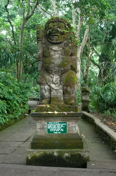 Padangtegal Monkey Forest, sławny turystyczne miejsce w Ubud, Indonezja Bali — Zdjęcie stockowe