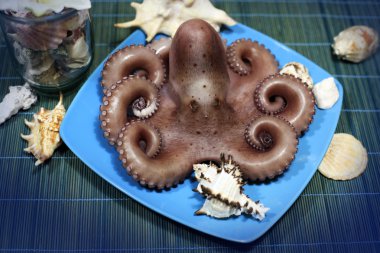 Ahtapot mavi çanak üzerinde