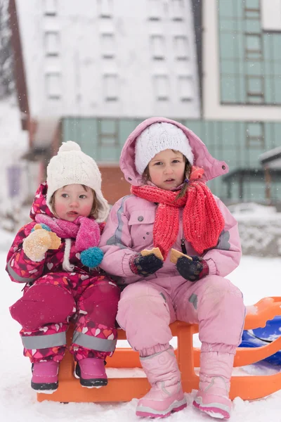Porträtt av två små flickor sitter tillsammans på slädar — Stockfoto