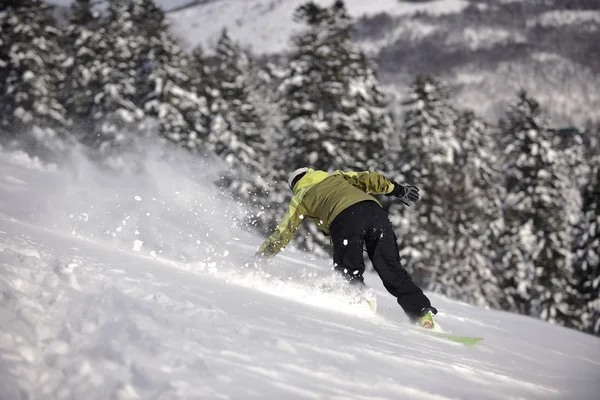 Snowboarder femme profiter freeride sur la neige de poudre fraîche — Photo