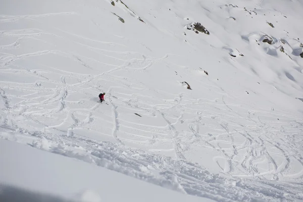 Freeride esquiador esquiando en nieve en polvo profundo —  Fotos de Stock