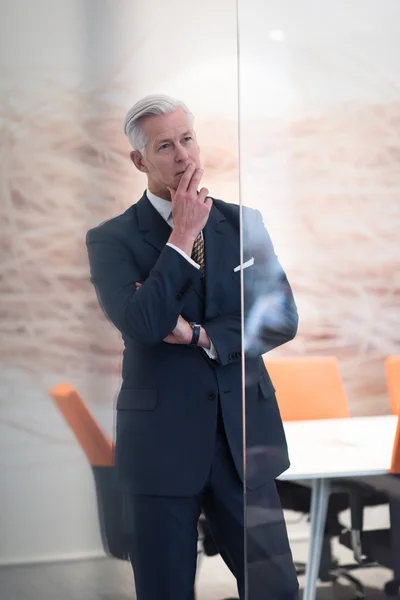 Retrato del hombre de negocios mayor guapo — Foto de Stock