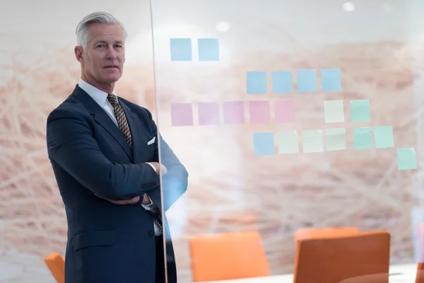 Portrait of handsome senior business man — Stock Photo, Image