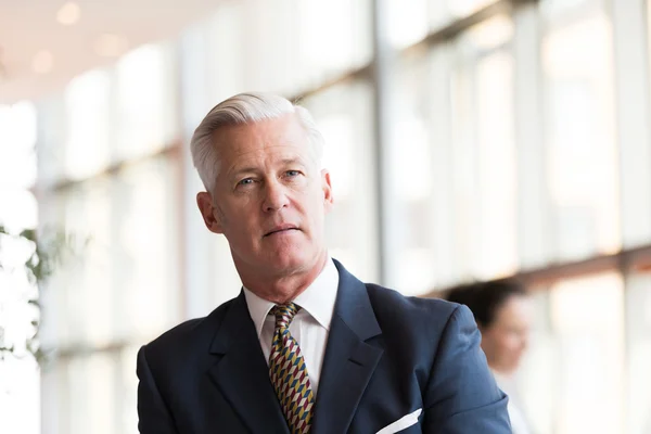 Retrato del hombre de negocios mayor guapo — Foto de Stock