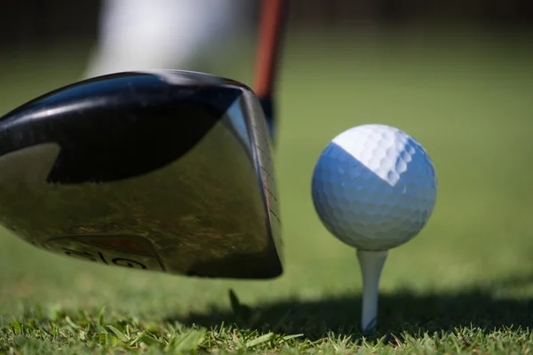 Golfschläger und Ball im Gras — Stockfoto