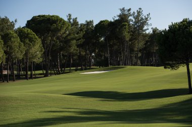 Golf Sahası Manzarası