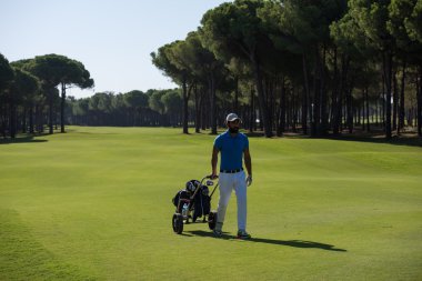 Tekerlekli çanta ile yürüyüş golf oyuncu
