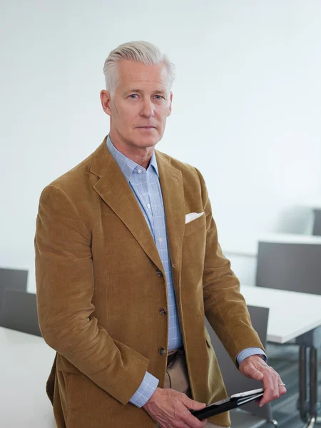 Retrato del profesor guapo — Foto de Stock