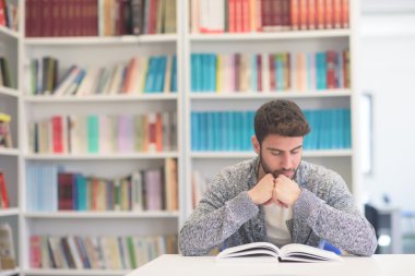 öğrenci okul Kütüphanesi kitap okurken