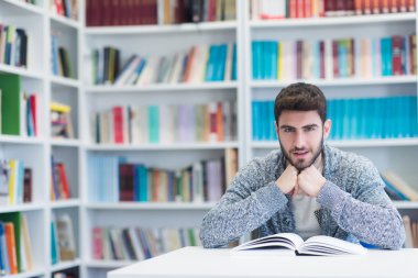 öğrenci okul Kütüphanesi kitap okurken