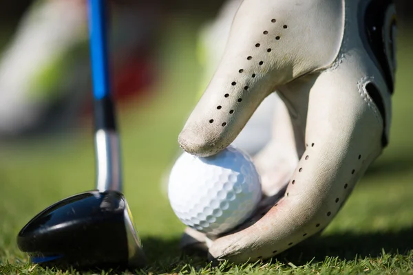 Jugador de golf colocando pelota en el tee —  Fotos de Stock