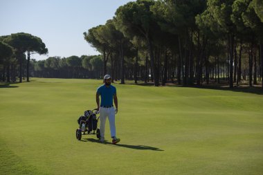 Tekerlekli çanta ile yürüyüş golf oyuncu