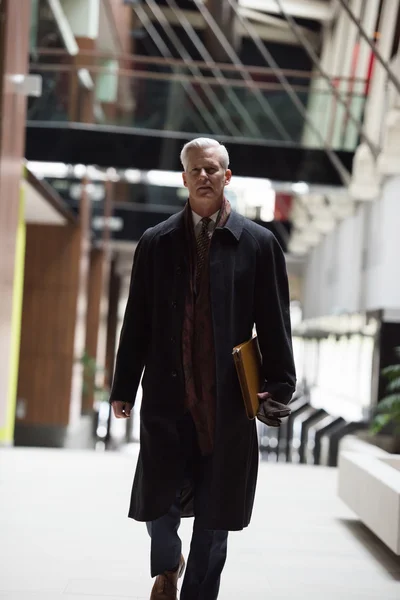 Szép vezető üzleti férfi gyaloglás — Stock Fotó