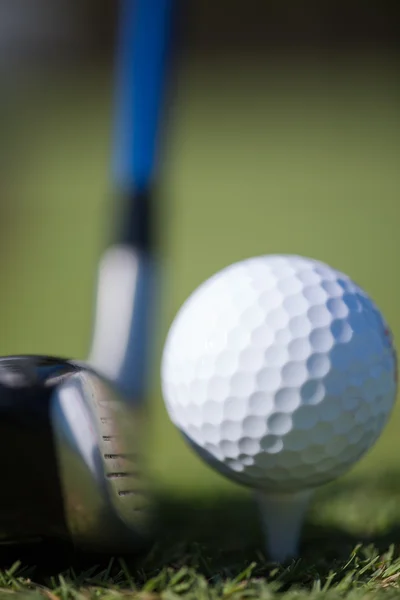 Clube de golfe e bola na grama — Fotografia de Stock