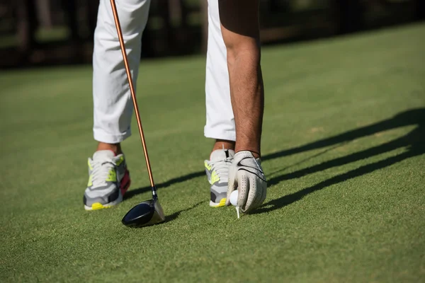 Golfspeler bal brengen tee — Stockfoto