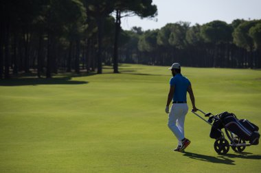 Tekerlekli çanta ile yürüyüş golf oyuncu
