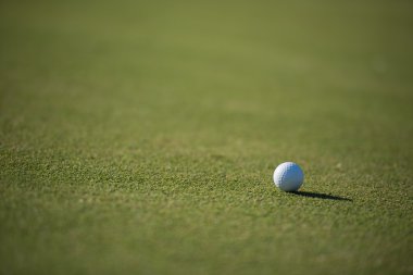 Çimlerin üzerinde golf topu