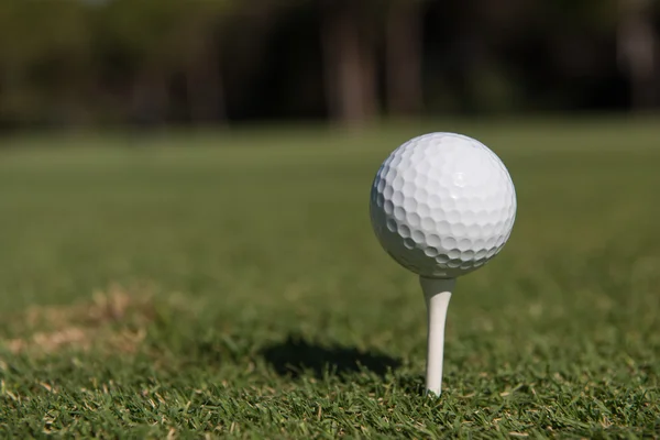 Golfball auf Tee — Stockfoto