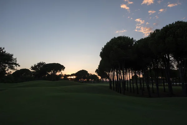 Поле для гольфу на заході сонця — стокове фото
