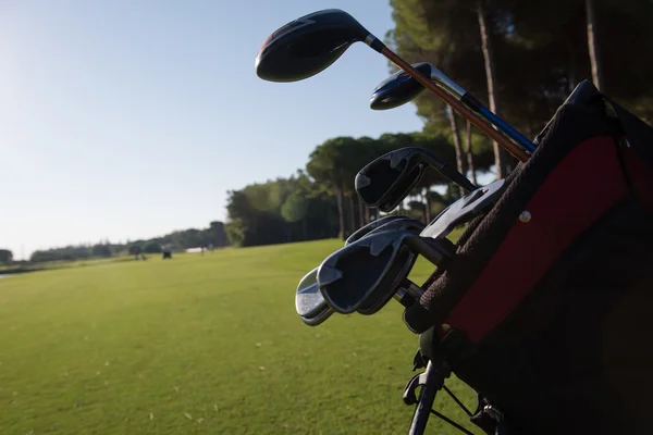 Крупним планом сумка для гольфу на трасі — стокове фото