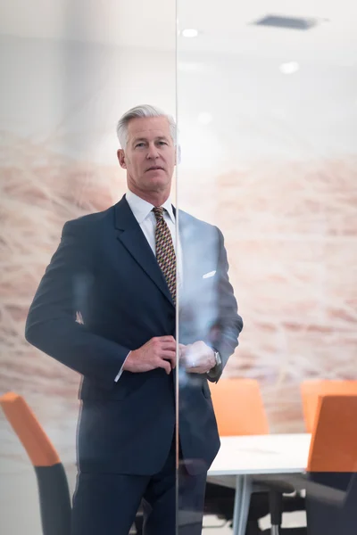 Portrait d'un homme d'affaires séduisant au bureau moderne — Photo