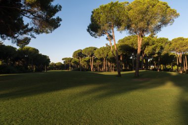 bir adam golf yönergeleri