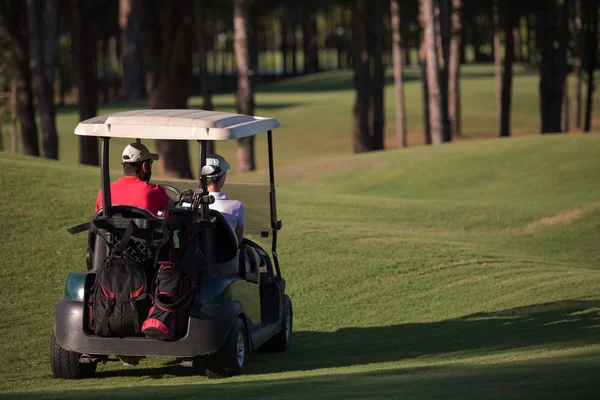 Pareja en buggy en campo de golf —  Fotos de Stock