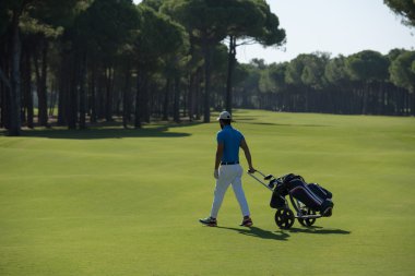 Tekerlekli çanta ile yürüyüş golf oyuncu
