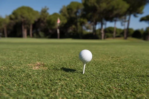 Golfboll på tee — Stockfoto