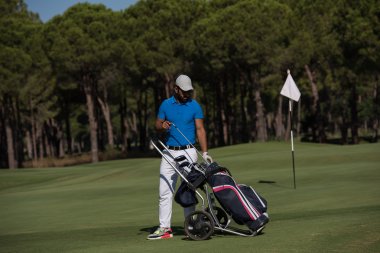 Tekerlekli çanta ile yürüyüş golf oyuncu