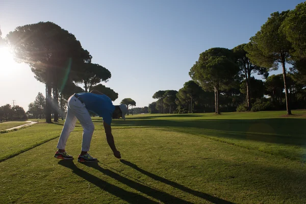 Jogador de golfe colocando bola no tee — Fotografia de Stock