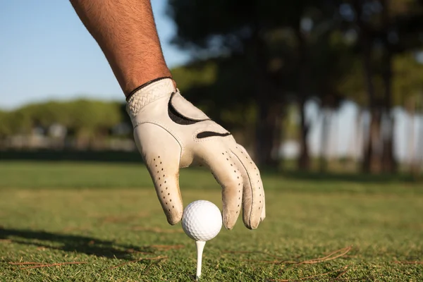 Close up de jogadores de golfe mão colocando bola no tee — Fotografia de Stock