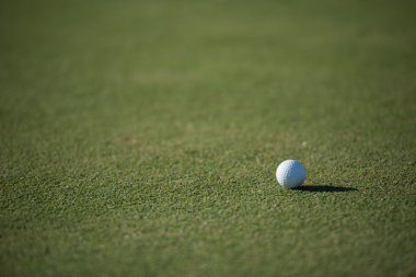 Çimlerin üzerinde golf topu