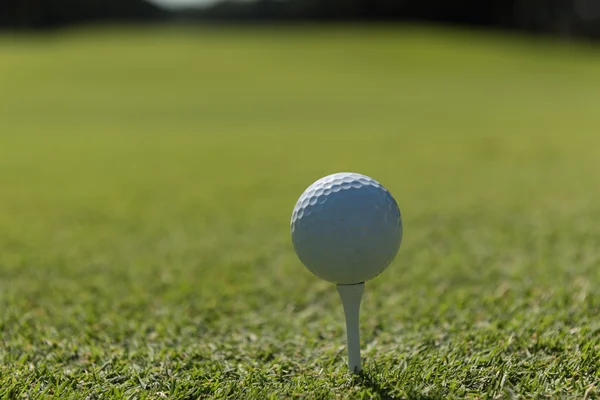 Pelota de golf en T —  Fotos de Stock