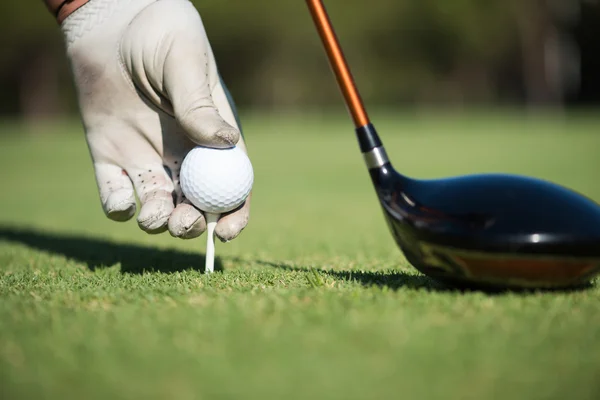 Golf-spelare att placera bollen på tee — Stockfoto