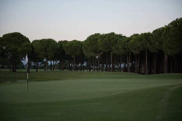 Un hombre instrucciones de golf —  Fotos de Stock