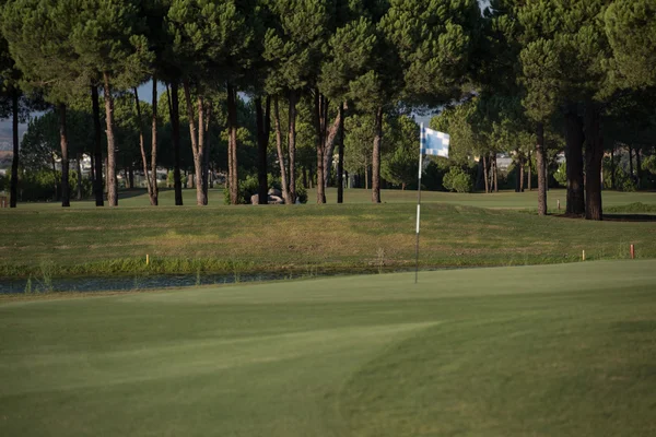 Campo de golfe no dia ensolarado — Fotografia de Stock