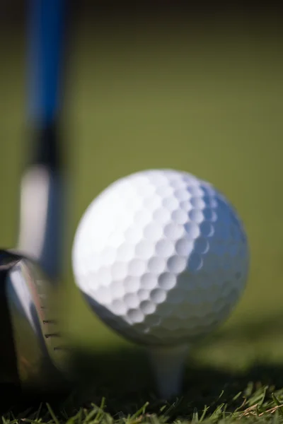 Golf club and ball in grass — Stock Photo, Image