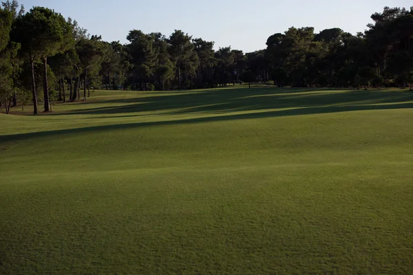 高尔夫球场阳光灿烂的日子 — 图库照片