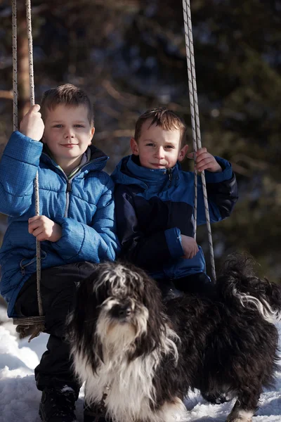 Portrait of little boys at winter day — Stock Photo, Image