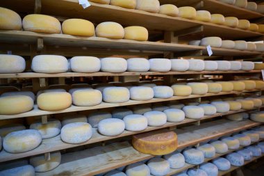 Peynir fabrikası eski peynirli raflar