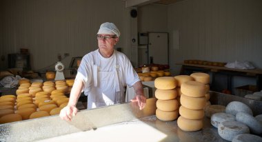 Yerel üretim fabrikasında peynir üreticisi