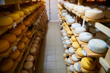 Peynir fabrikası eski peynirli raflar