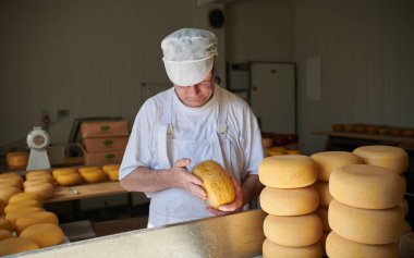 Yerel üretim fabrikasında peynir üreticisi