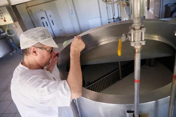 Queijo produção cheesemaker trabalhando na fábrica — Fotografia de Stock