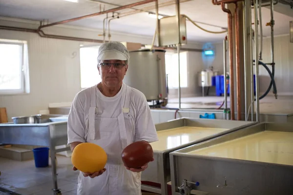 Queijo produção cheesemaker trabalhando na fábrica — Fotografia de Stock