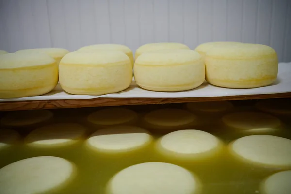 古いチーズを熟成させたチーズ工場生産棚 — ストック写真
