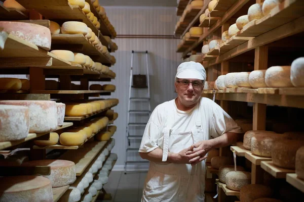 Cheese maker at the storage with shelves full of cow and goat cheese — Stock Photo, Image